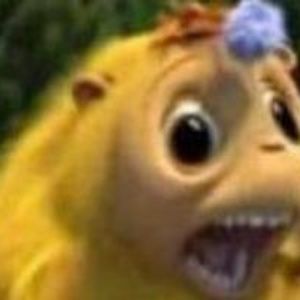 Meet your Posher, Perla